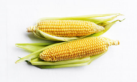 Corn on the cob